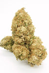 White Whale CBG Flower | Sativa Hybrid | Hand Trimmed 14% Total Cannabinoids - Wholesale